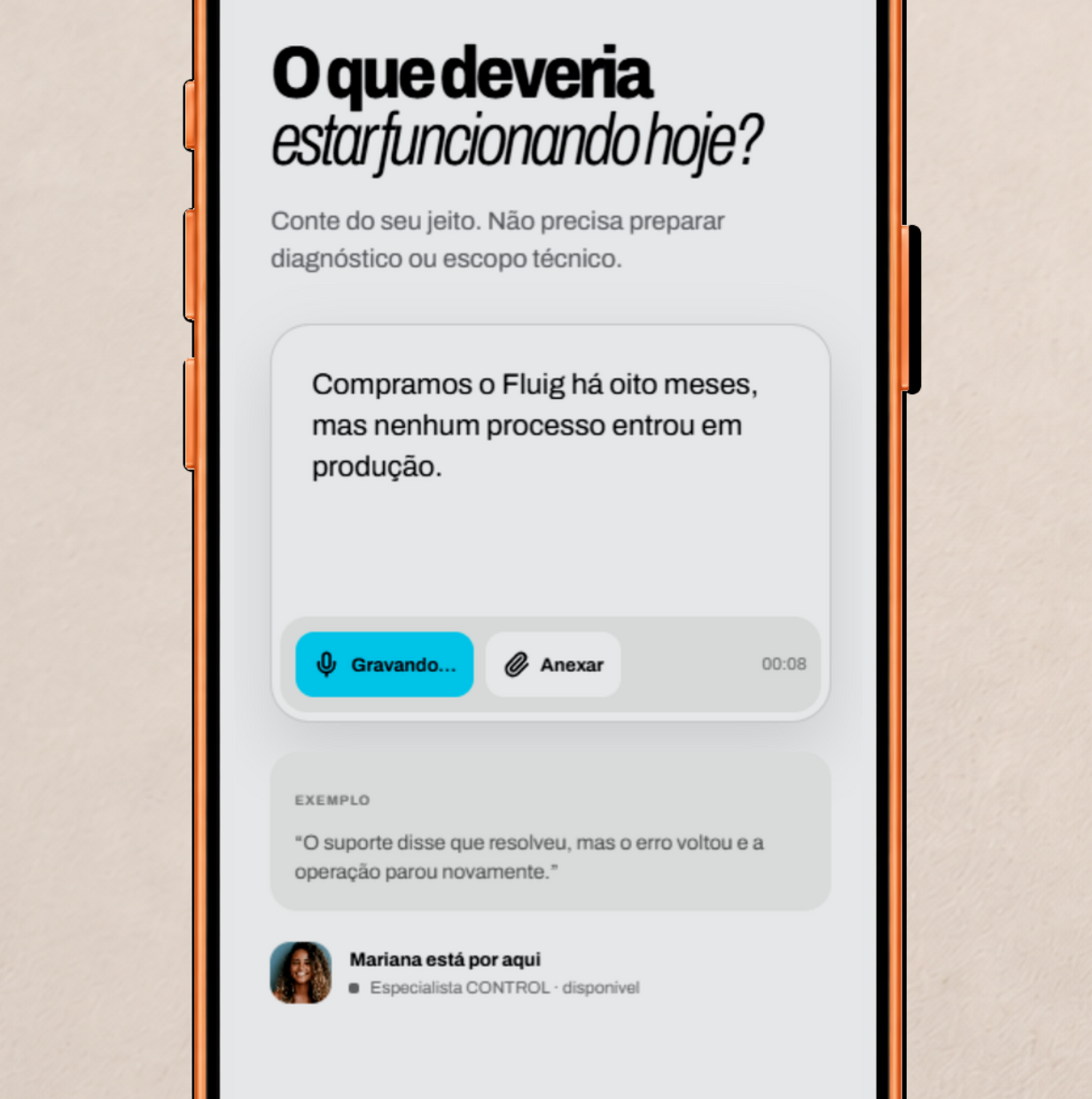 Tela do CONTROL para contar o que precisa funcionar no TOTVS